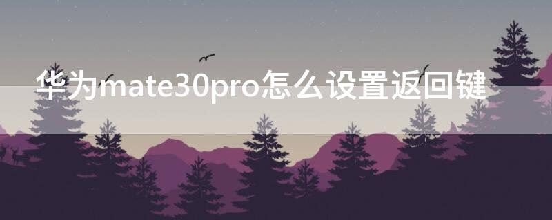 华为mate30pro怎么设置返回键 华为mate30pro怎么设置返回键小爱同学