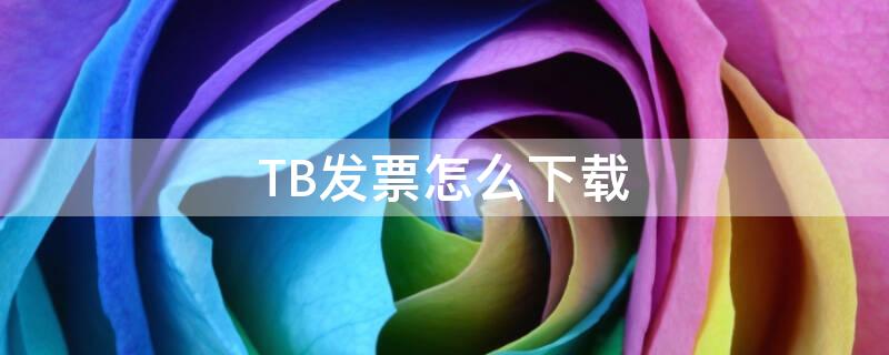 TB发票怎么下载