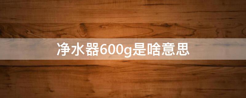 净水器600g是啥意思（净水器的600.800g什么意思）