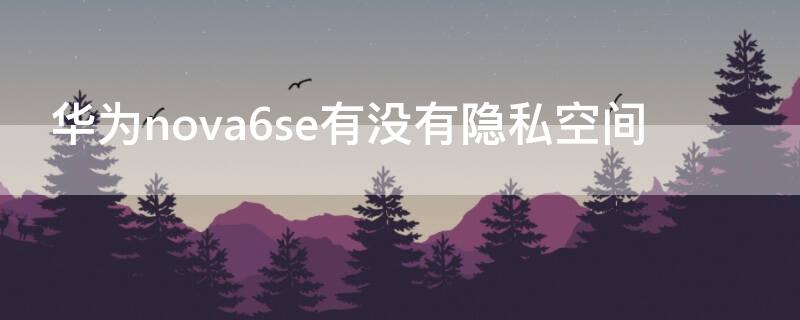 华为nova6se有没有隐私空间（华为nova6se为什么没有隐私空间）