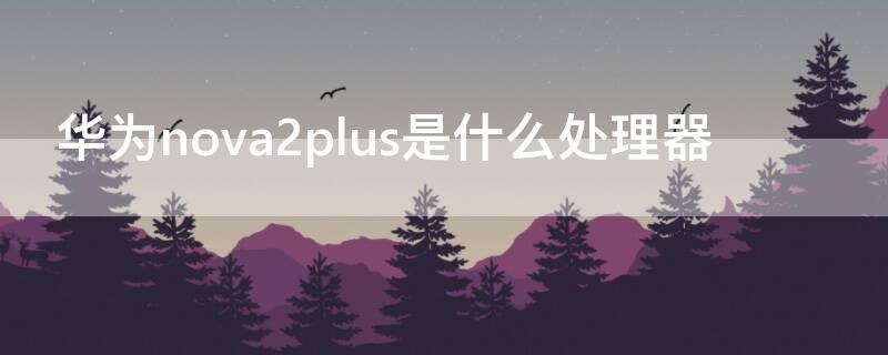 华为nova2plus是什么处理器（华为nova2plus型号）