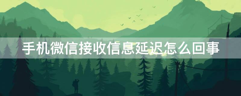 手机微信接收信息延迟怎么回事（手机微信接收消息延迟怎么办）