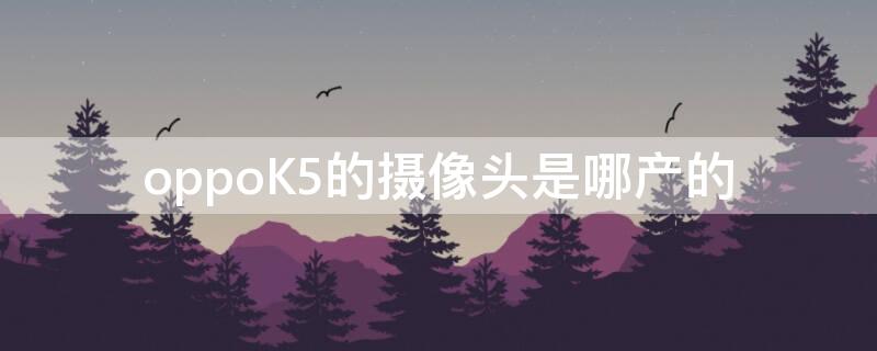 oppoK5的摄像头是哪产的（oppok5的摄像头是索尼的吗）