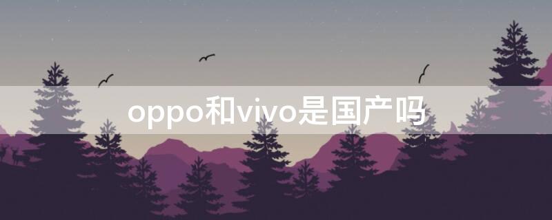 oppo和vivo是国产吗 vivo和oppo是国产的吗?