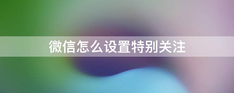 微信怎么设置特别关注（微信怎么设置特别关注的人）