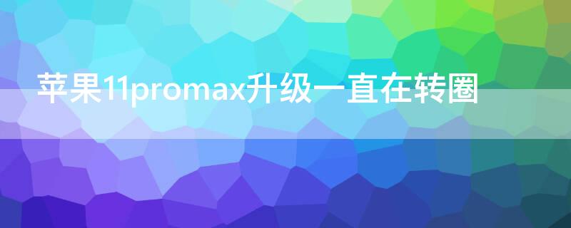 iPhone11promax升级一直在转圈（iphone11pro max死机一直转圈）