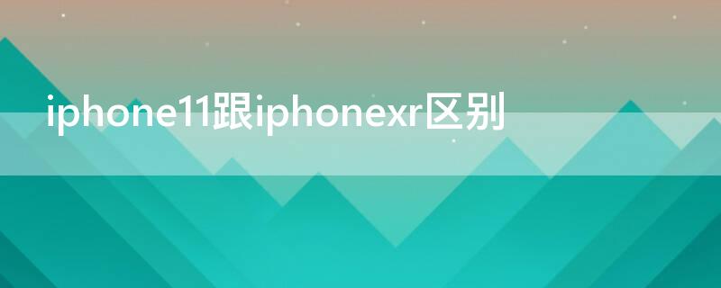 iPhone11跟iPhonexr区别 iphone11跟iphonexr的区别