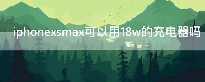 iPhonexsmax可以用18w的充电器吗