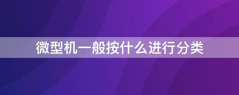 微型机一般按什么进行分类（微型机一般按什么进行分类?）