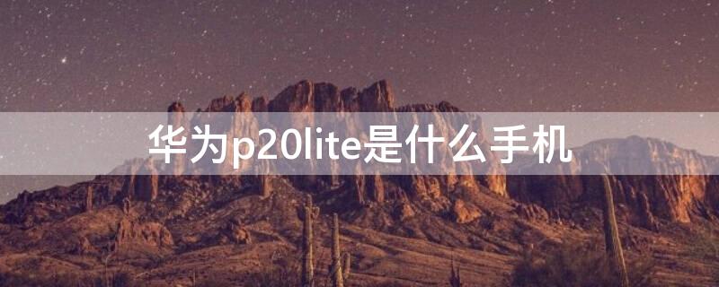 华为p20lite是什么手机 华为p20lite手机怎么样