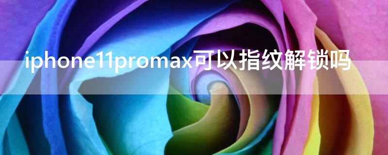 iPhone11promax可以指纹解锁吗 apple11pro max有指纹解锁吗