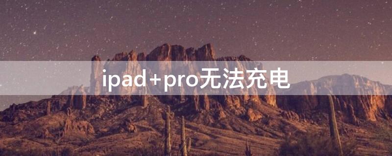 ipad pro无法充电