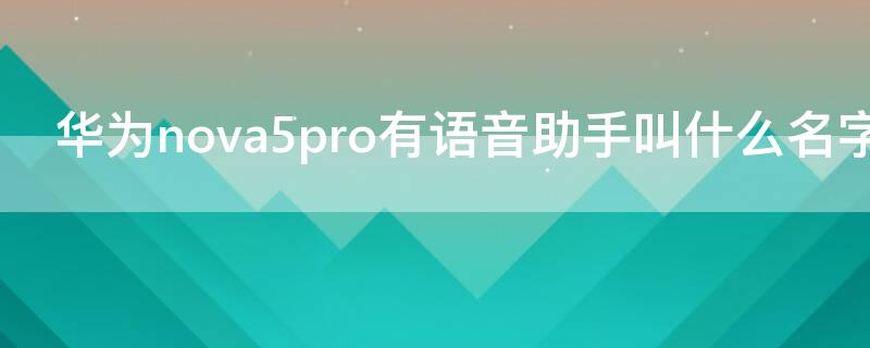 华为nova5pro有语音助手叫什么名字（nova5pro的语音助手叫什么）