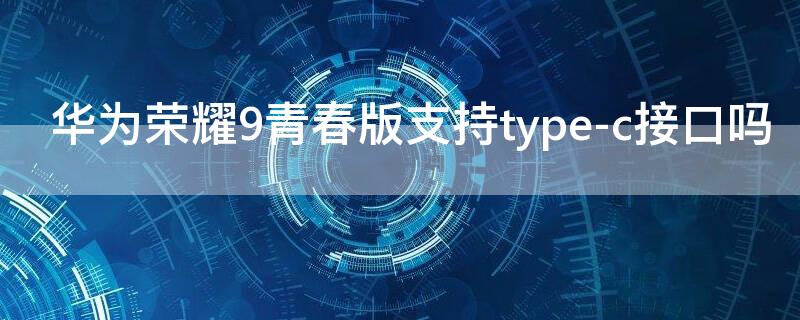 华为荣耀9青春版支持type-c接口吗（荣耀9青春版是什么接口）