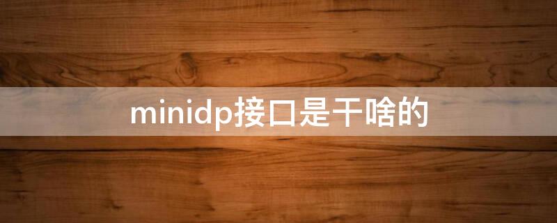 minidp接口是干啥的（minidp接口定义）