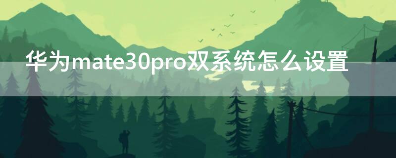 华为mate30pro双系统怎么设置 华为mate30e pro怎么设置双系统