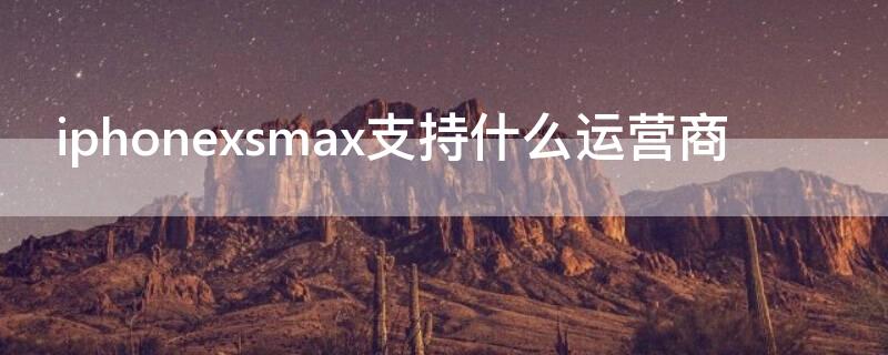 iPhonexsmax支持什么运营商（苹果xs max运营商）