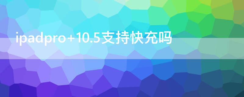 ipadpro 10.5支持快充吗