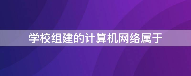 学校组建的计算机网络属于 一个学校组织的计算机网络属于