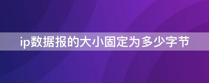 ip数据报的大小固定为多少字节 ip地址的每个字节的数据范围