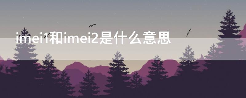 imei1和imei2是什么意思 imei是imei1还是imei2