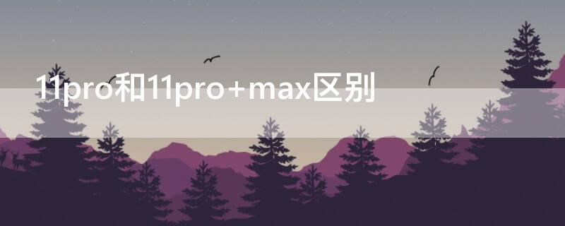 11pro和11pro（11pro和11promax哪个更值得入手）