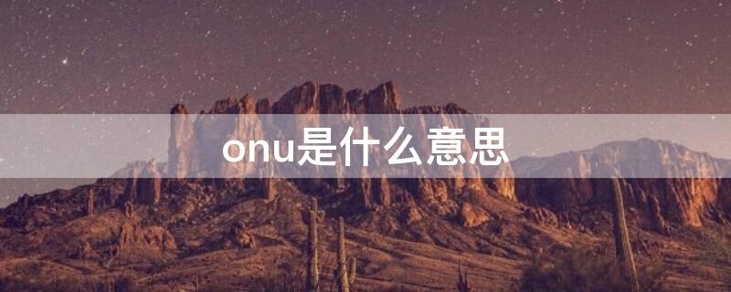 onu是什么意思（onu是什么意思啊）