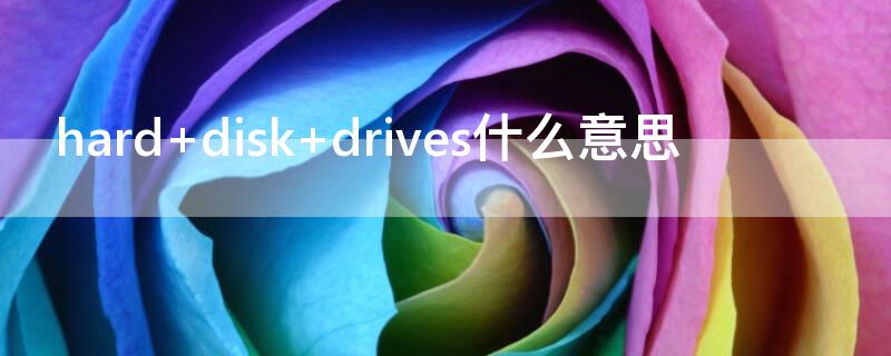 hard disk drives什么意思