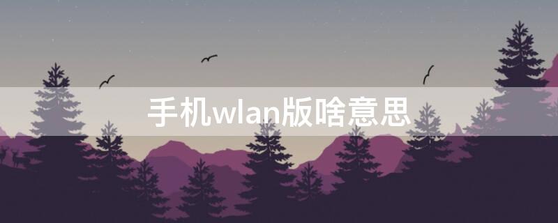 手机wlan版啥意思 手机网络wlan是什么意思