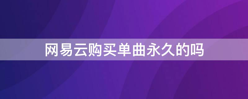 网易云购买单曲永久的吗 网易云购买单曲可以永久听吗