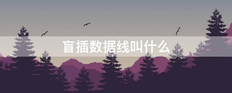 盲插数据线叫什么 正反盲插的数据线叫什么意思