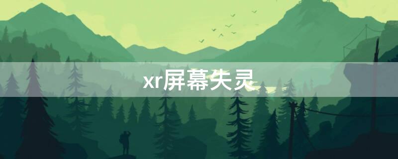 xr屏幕失灵（xr屏幕失灵是什么问题要修多少钱）