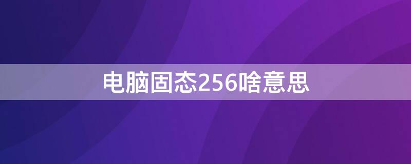 电脑固态256啥意思（电脑256g固态什么意思）