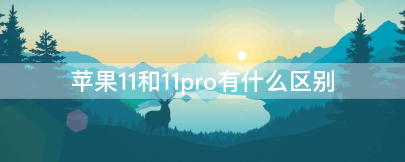 iPhone11和11pro有什么区别 iPhone11和11Pro区别