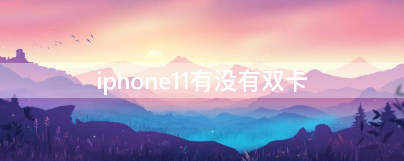 iPhone11有没有双卡（iphone11有没有双卡双待功能）
