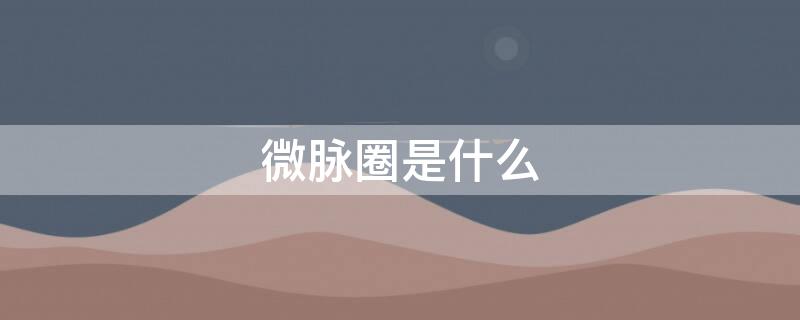 微脉圈是什么（微脉圈是什么东西）