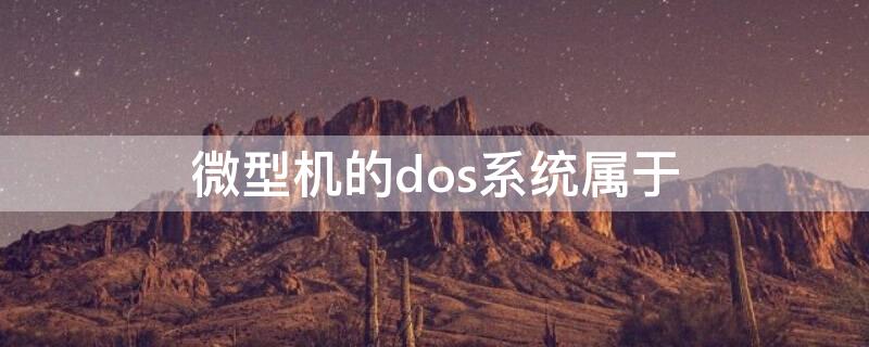 微型机的dos系统属于（微机中的dos软件归类来说属于什么）