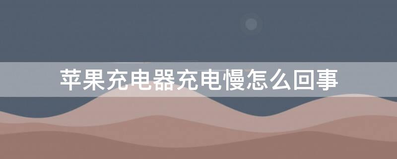 iPhone充电器充电慢怎么回事（iphone充电器反应慢）