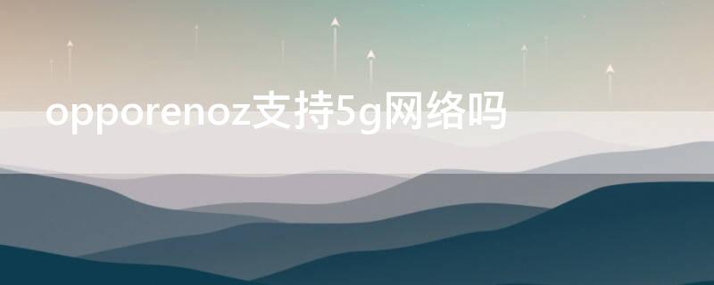 opporenoz支持5g网络吗 opporeno2支持5g网络吗