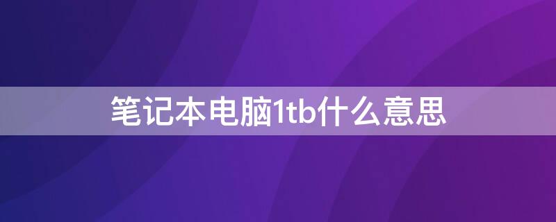 笔记本电脑1tb什么意思（笔记本电脑1TB是什么意思）