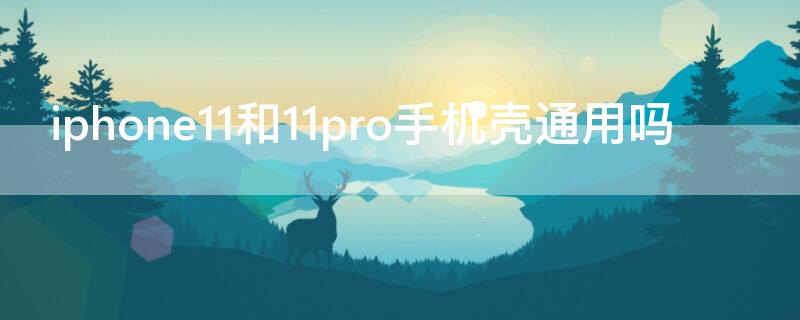 iPhone11和11pro手机壳通用吗