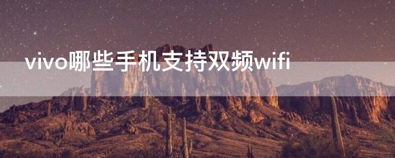 vivo哪些手机支持双频wifi（vivo哪款手机支持双wifi）