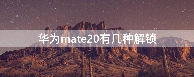 华为mate20有几种解锁（华为mate20pro解锁方式有几种）