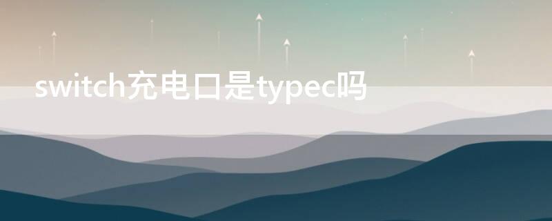 switch充电口是typec吗（switchlite充电口是typec吗）