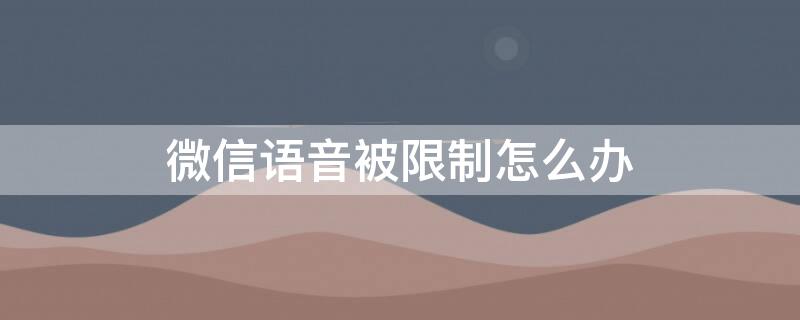 微信语音被限制怎么办 微信语音受限如何解除