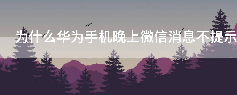 为什么华为手机晚上微信消息不提示 华为手机微信半夜不提示消息怎么回事