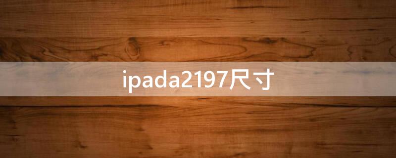 ipada2197尺寸 ipad a2197尺寸