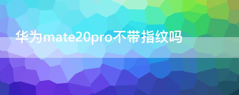 华为mate20pro不带指纹吗（mate20 pro带指纹吗）