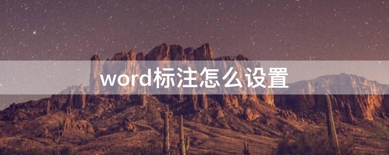 word标注怎么设置 word添加标注怎么设置