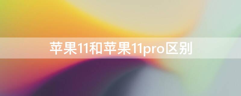 iPhone11和iPhone11pro区别（iphone11和iphone11pro区别尺寸）